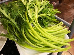 茼蒿-鑫龙火锅城(青岛分店)
