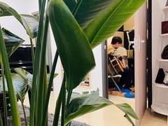 -育星南雅苑幼儿园