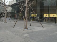 -Apple零售店(华贸购物中心店)