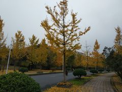 -浙江农林大学(东湖校区)