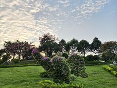 -东莞植物园