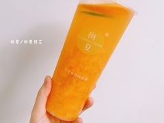 -树夏(建设路店)