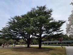 -北京市劳动人民文化宫(太庙)