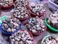 -五里多农博广场