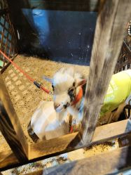 -酷嗒动物文化乐园(cutezoo西溪乐天城店)