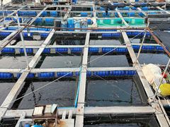 -蓝湾碧波·老字号·疍家非遗海上餐厅