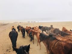 -山丹皇家马场