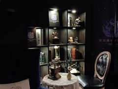-雪灵魔法世界SHELLY’S TAROT(大良桂畔里店)