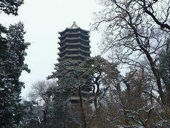 -辽宁大厦