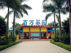 -百万葵园