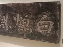 -白鹤梁水下博物馆