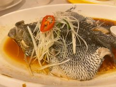 清蒸宝石斑-海宝酒家(中山四路店)