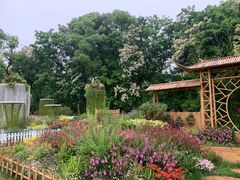 -上海共青森林公园