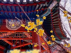 -月坛公园