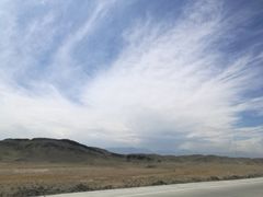 -新疆天山野生动物园