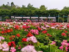 -盈香心动乐园