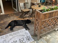 -后海村