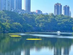 -重庆彩云湖湿地公园