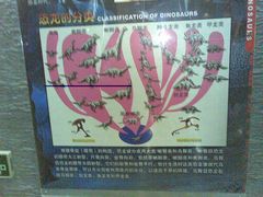 恐龙分类-国家自然博物馆