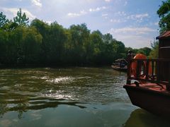 -溱湖国家湿地公园