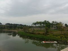 -宝安西湾红树林湿地公园