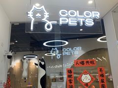 -COLOR PETS 撸猫馆·购猫·猫咖(长风大悦城店)