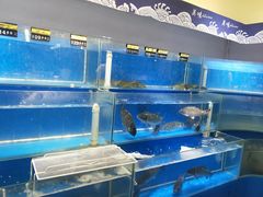 -大商超市(银岛店)