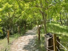 -杨柳青庄园