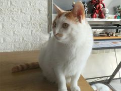 -平行世界·猫咖(首经贸店)