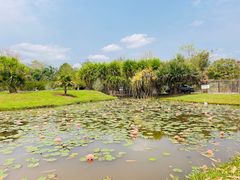 -中国科学院西双版纳热带植物园
