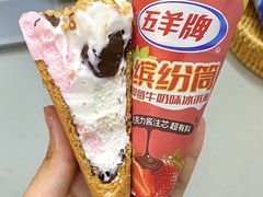 -深圳野生动物园
