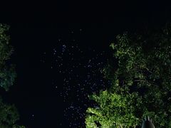 -合肥融创乐园