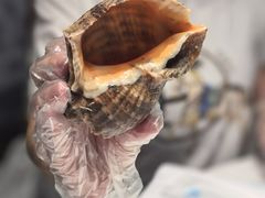 -大锅强·蒸海鲜青岛菜(金沙滩店)