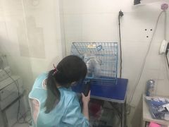 -守诺宠物医院·眼科· 特色牙科·异宠专科(虹口店)