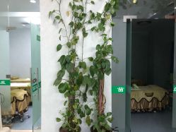 -苗医生专业祛痘全国连锁