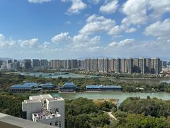 -五缘湾湿地公园