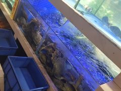 -王捌小院(红花坡店)