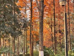 -苏州河梦清园环保主题公园