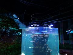 -青岛嘉年华主题乐园