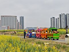 -光明小镇欢乐田园