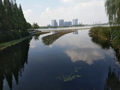-暨阳湖生态园