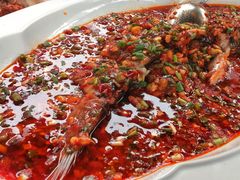 -院8里·小聚园老川菜(九眼桥店)