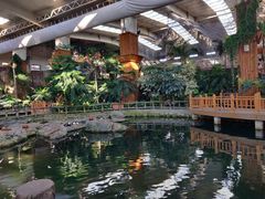 -南宫五洲植物乐园