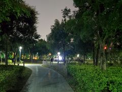 -福田红树林生态公园