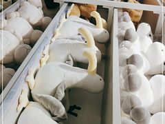 -NOME(太阳百货店)