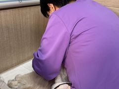 -北京观赏动物医院·24小时大型综合·猫专科·异宠专科