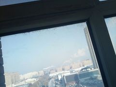 -东方饺子王臻味餐厅(新嘉坡城店)