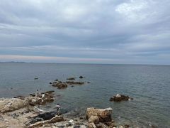 -养马岛旅游度假区