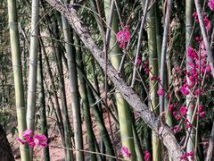 -东坡赤壁风景名胜区