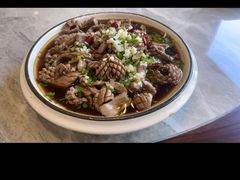 -呼吸森林·生态农庄农家乐私房菜